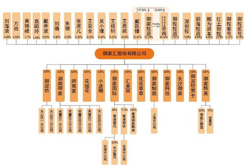 御家匯IPO周三上會 年入11億背后，面膜業(yè)務與軟件及輔助設備批發(fā)的商業(yè)邏輯